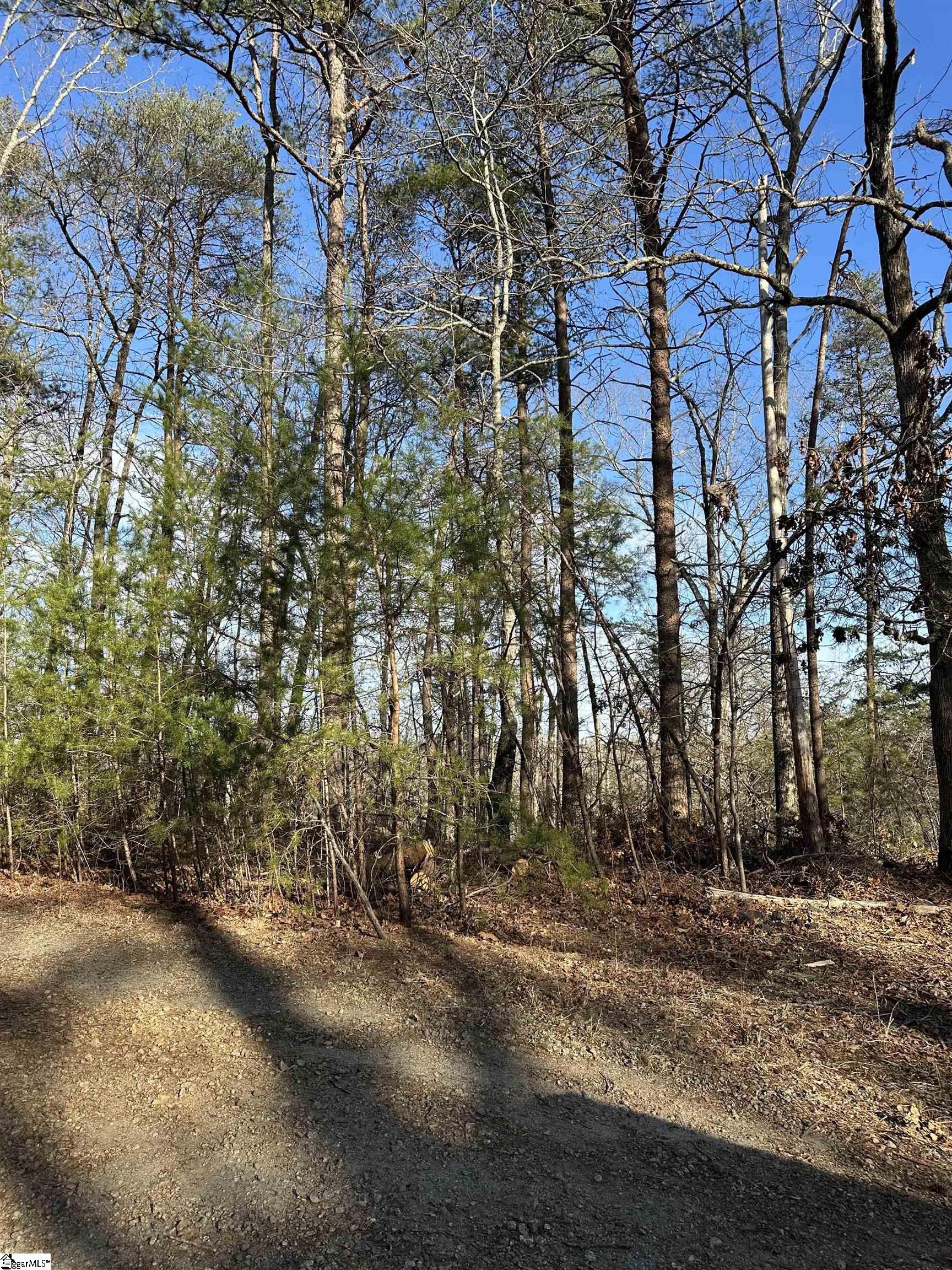 0 Hawkins Lane Mill Spring, NC 28756 - Photo 5 of 14