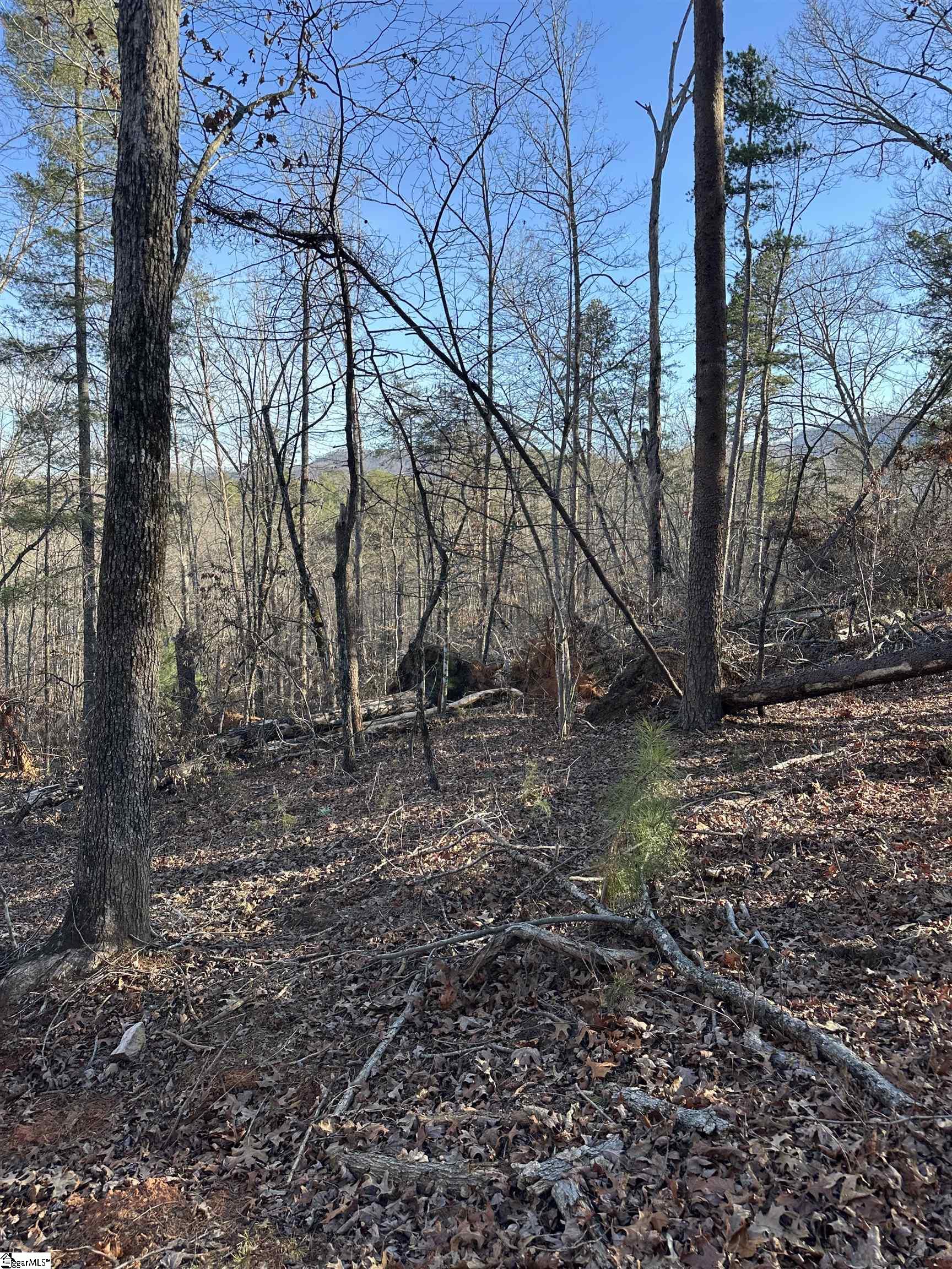 0 Hawkins Lane Mill Spring, NC 28756 - Photo 6 of 14