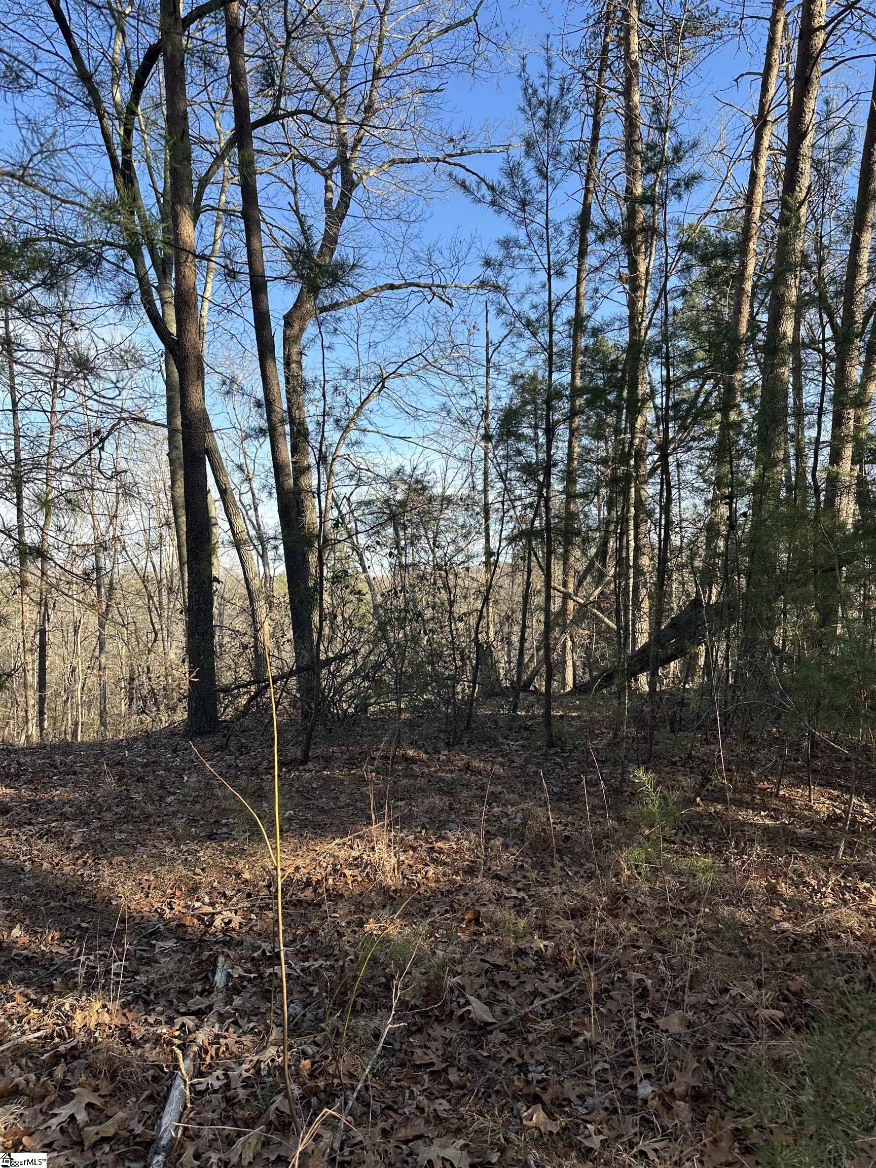 0 Hawkins Lane Mill Spring, NC 28756 - Photo 7 of 14