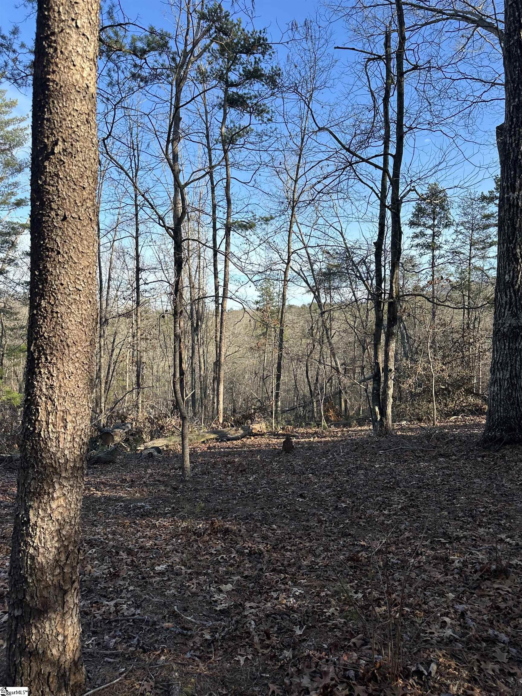 0 Hawkins Lane Mill Spring, NC 28756 - Photo 8 of 14