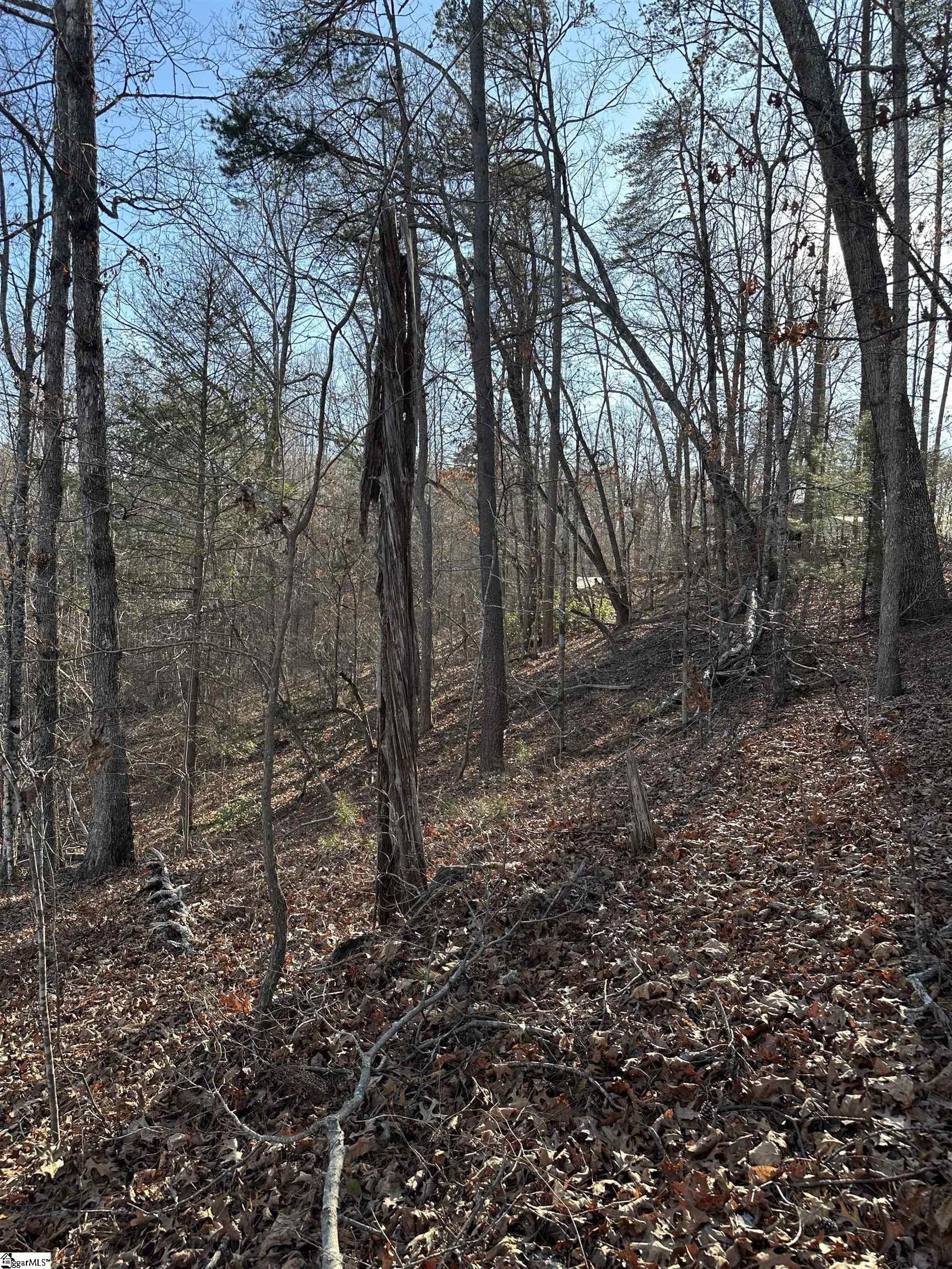 0 Hawkins Lane Mill Spring, NC 28756 - Photo 9 of 14