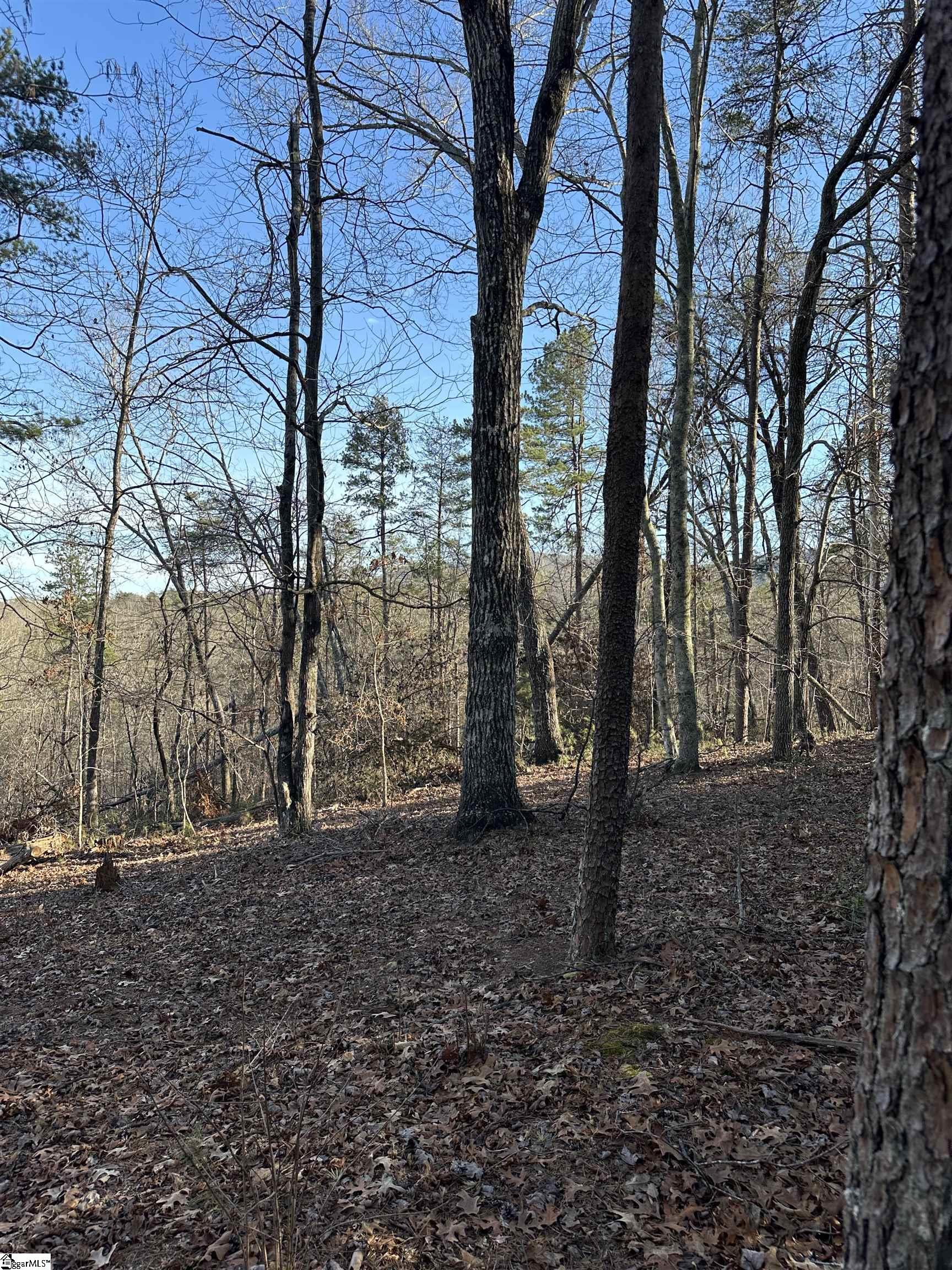 0 Hawkins Lane Mill Spring, NC 28756 - Photo 10 of 14