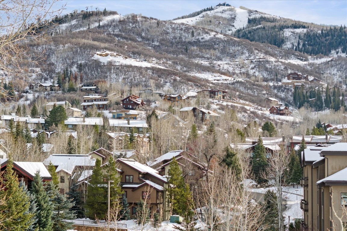 2857 St Moritz Way Steamboat Springs, CO 80487 - Photo 29 of 34