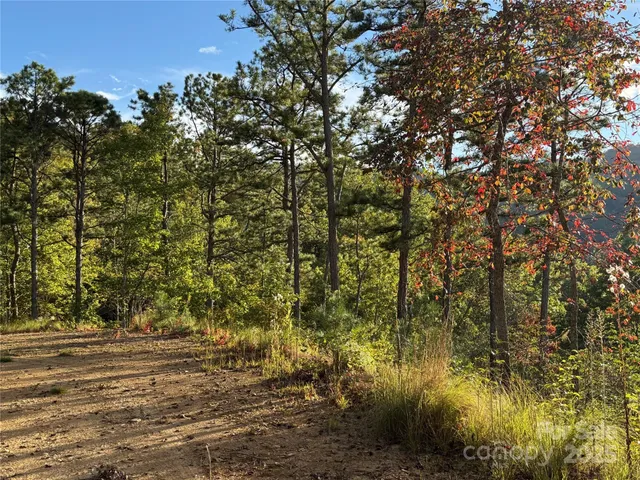 a view of outdoor space and a yard