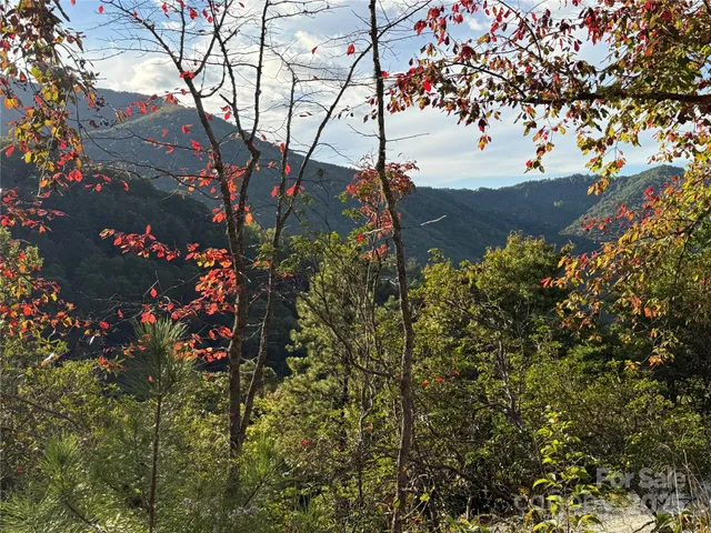 $125,000 | 406 Cardinal Bluff Drive, Whittier, NC 28789