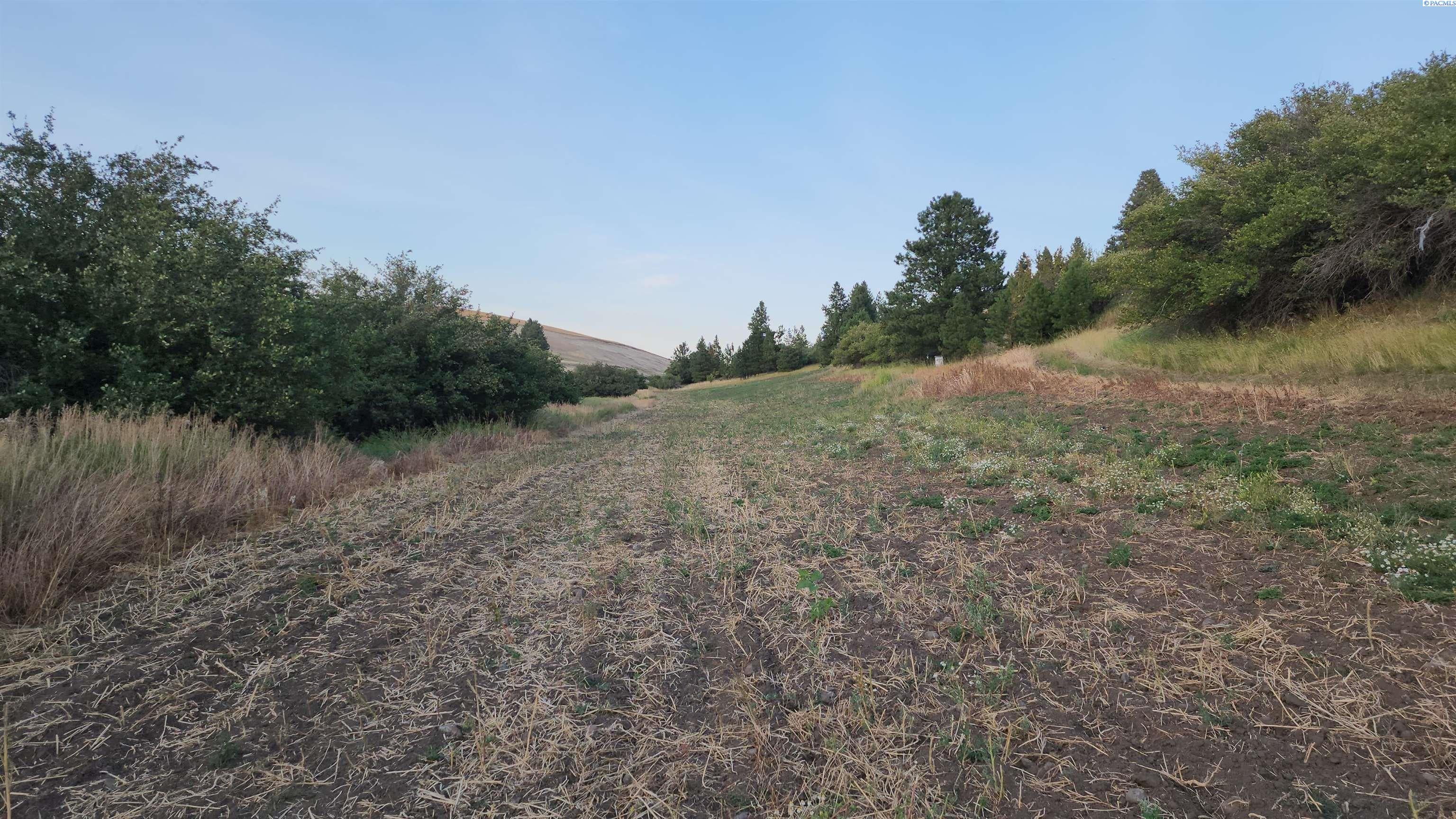 1241 Patit Road Dayton, WA 99328 - Photo 24 of 48 Gallery Image 24