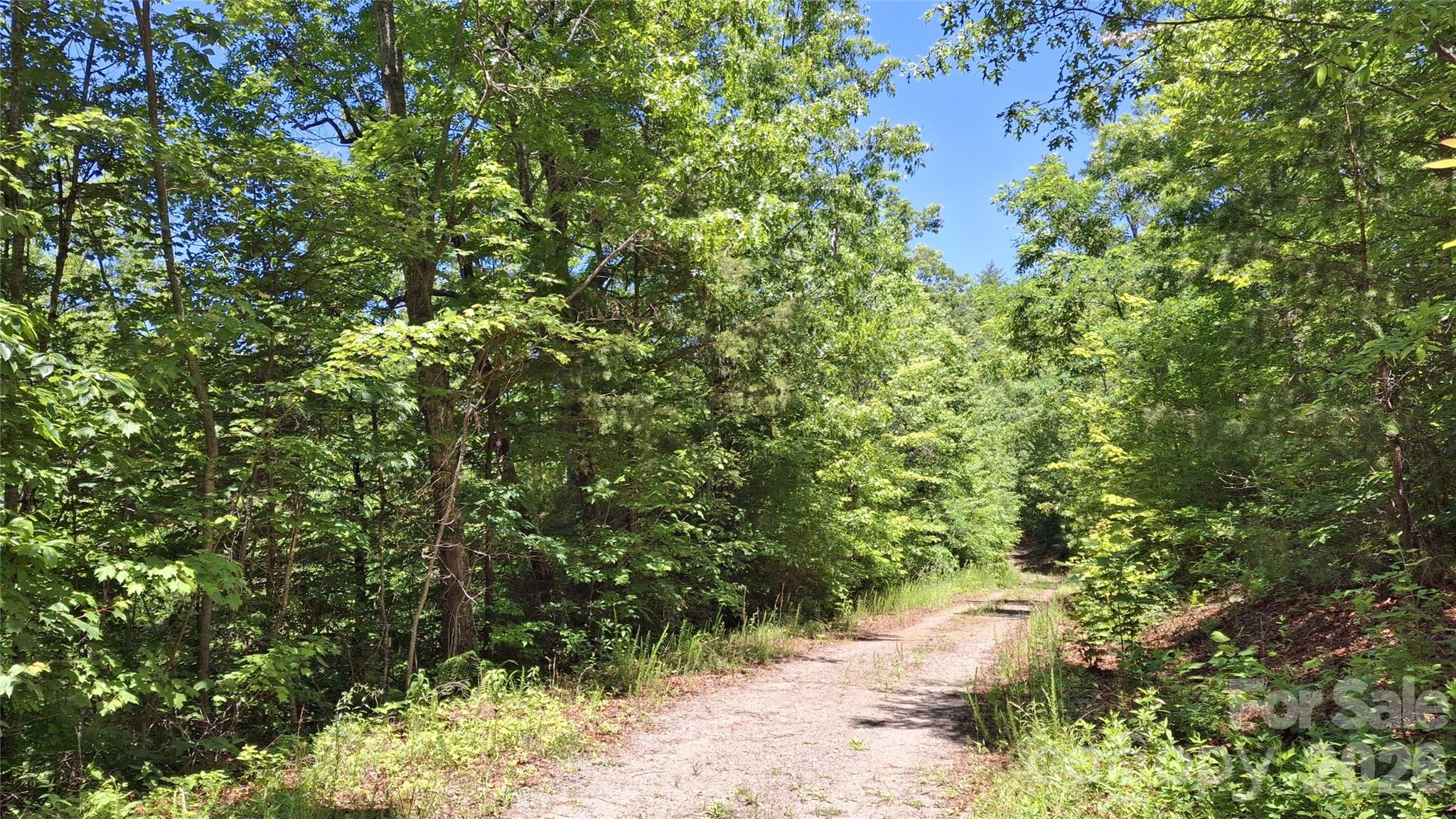 272 Kako Ridge, Unit 64 Sylva, NC 28779 - Photo 7 of 15
