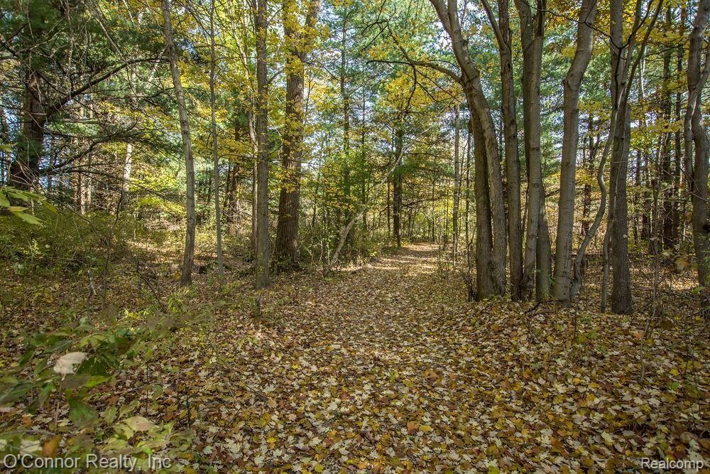 195 Wadhams Road St. Clair, MI 48079 - Photo 37 of 41 DSC_9863.jpg