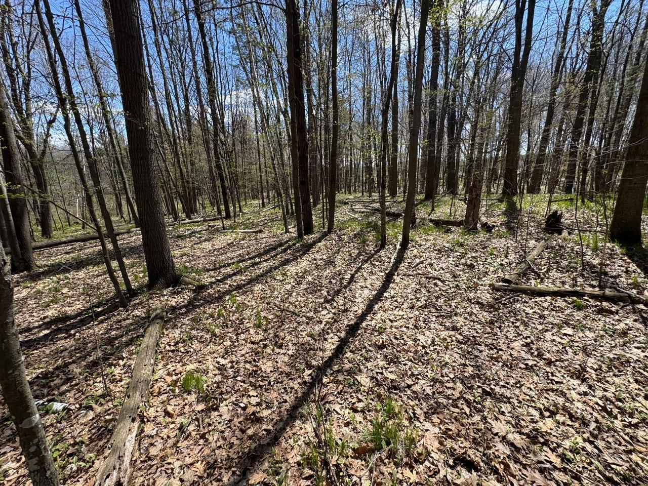 Lot 0 Weggen Road Augusta, WI 54722 - Photo 11 of 20