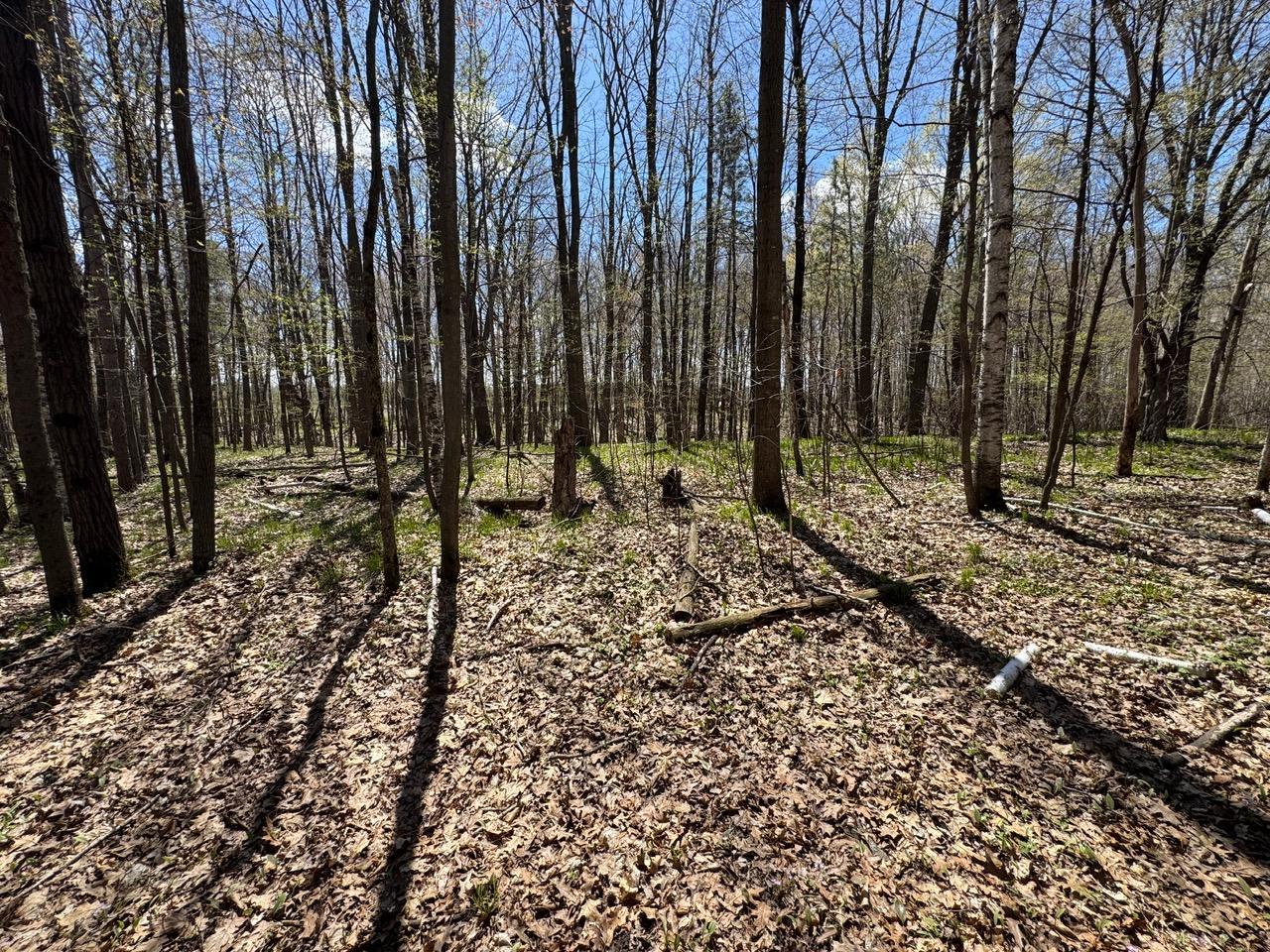 Lot 0 Weggen Road Augusta, WI 54722 - Photo 12 of 20