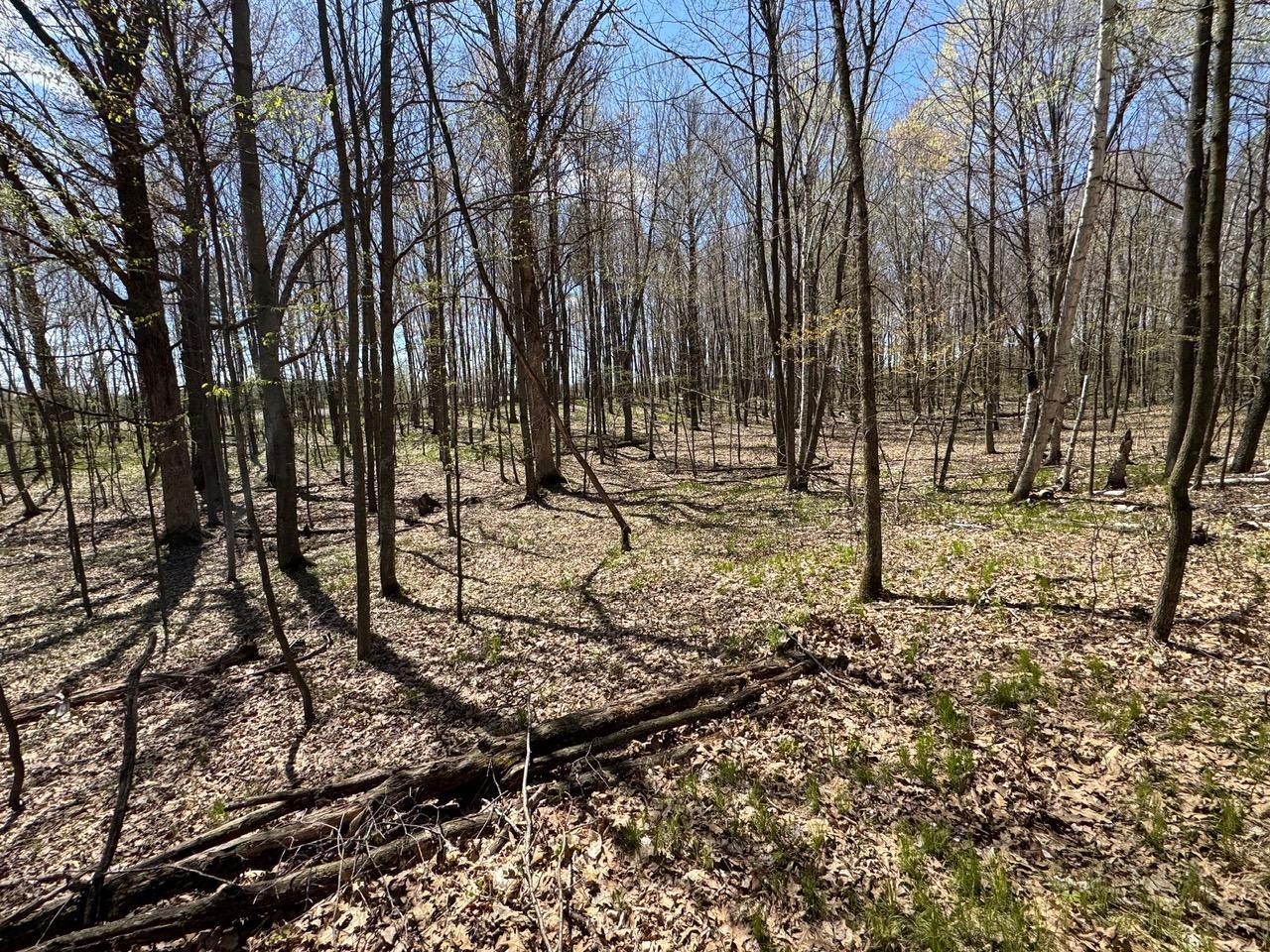 Lot 0 Weggen Road Augusta, WI 54722 - Photo 13 of 20
