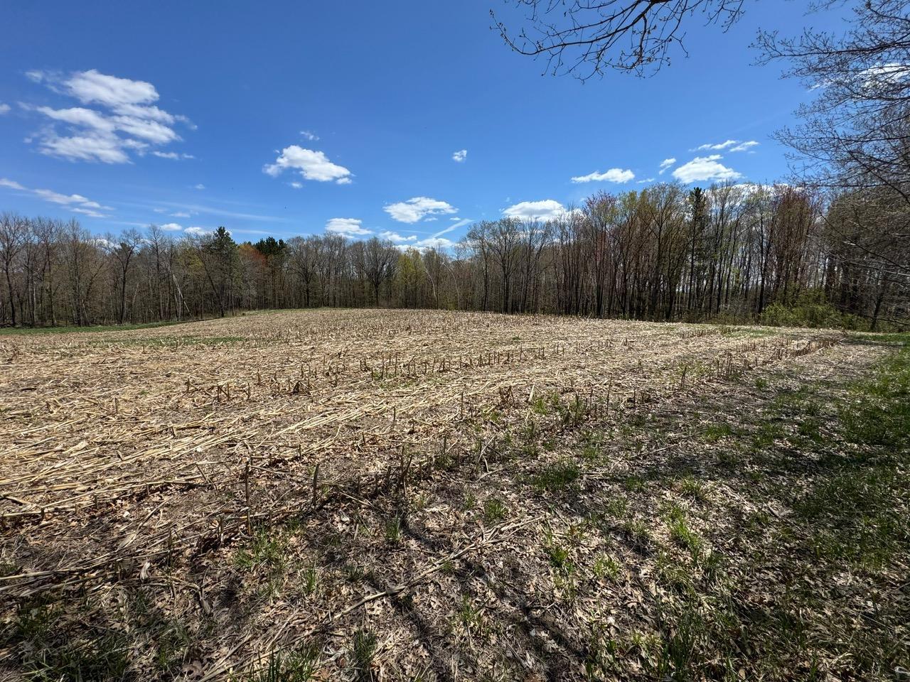 Lot 0 Weggen Road Augusta, WI 54722 - Photo 2 of 20