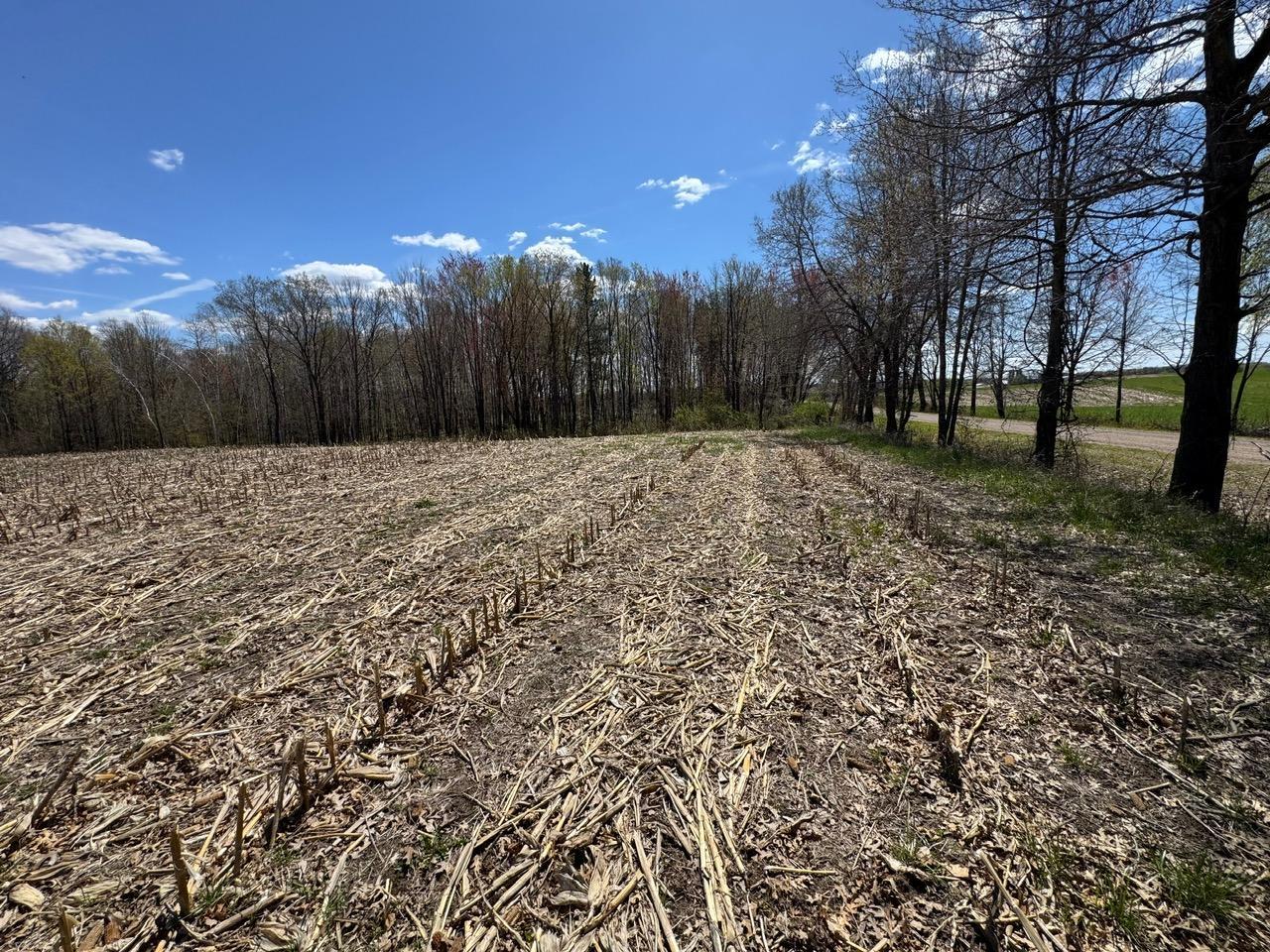 Lot 0 Weggen Road Augusta, WI 54722 - Photo 3 of 20