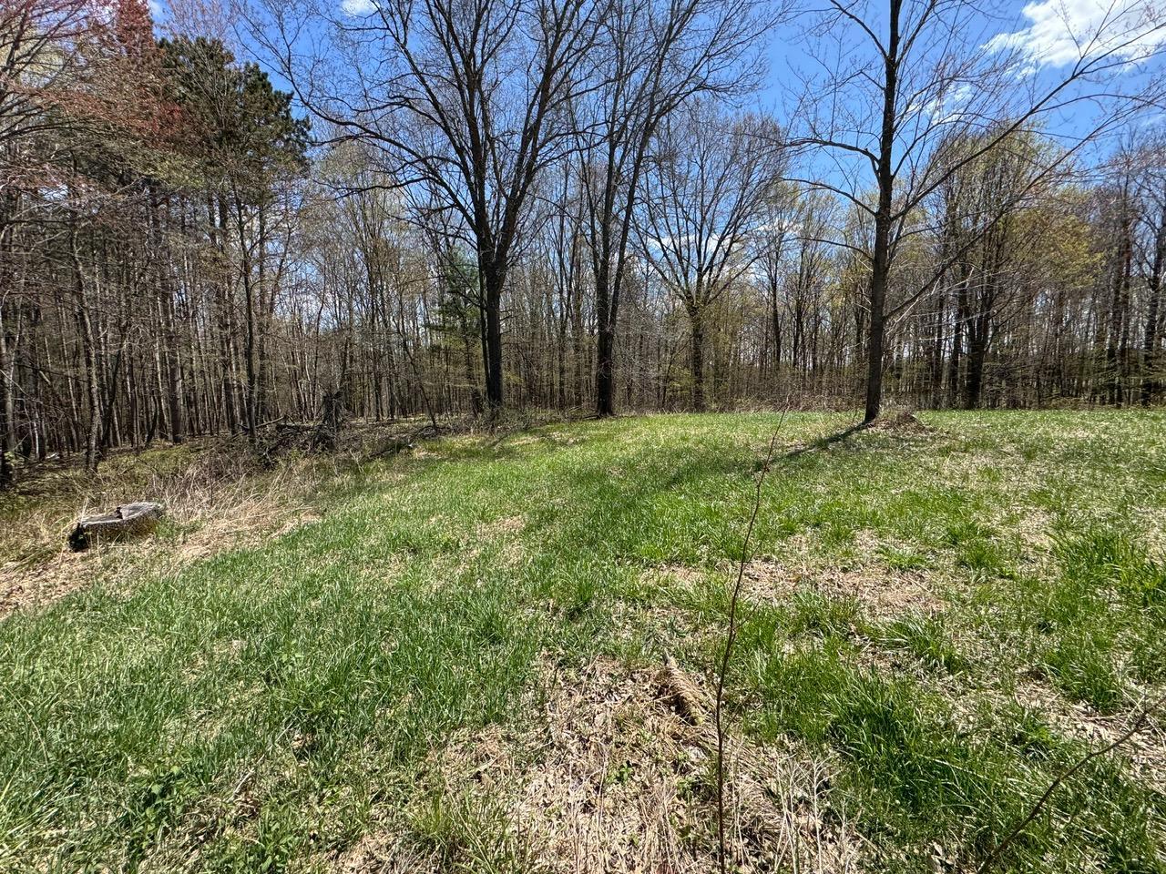 Lot 0 Weggen Road Augusta, WI 54722 - Photo 5 of 20
