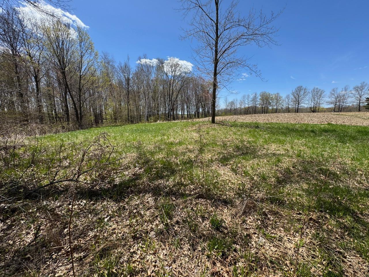 Lot 0 Weggen Road Augusta, WI 54722 - Photo 6 of 20