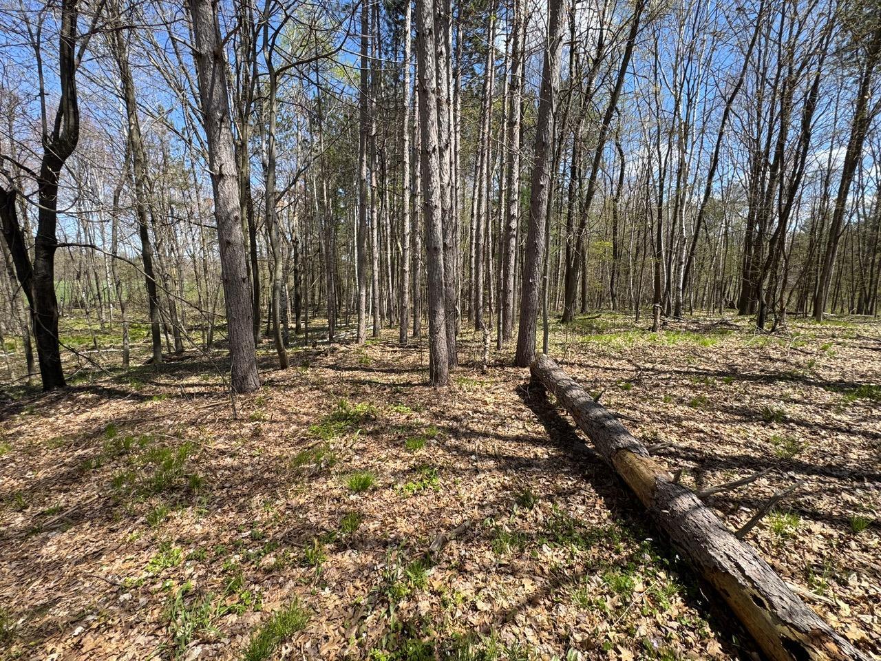 Lot 0 Weggen Road Augusta, WI 54722 - Photo 8 of 20