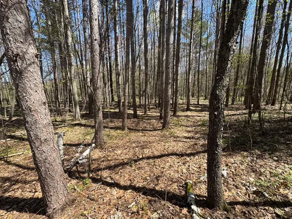 $40,000 | Lot 0 Weggen Road, Augusta, WI 54722