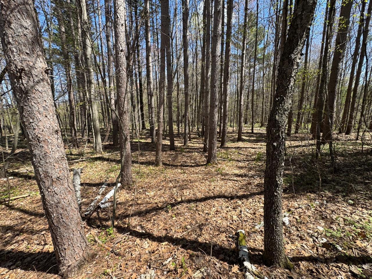 Lot 0 Weggen Road Augusta, WI 54722 - Photo 9 of 20