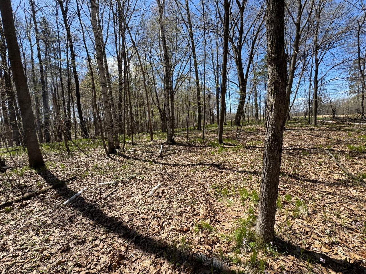 Lot 0 Weggen Road Augusta, WI 54722 - Photo 10 of 20