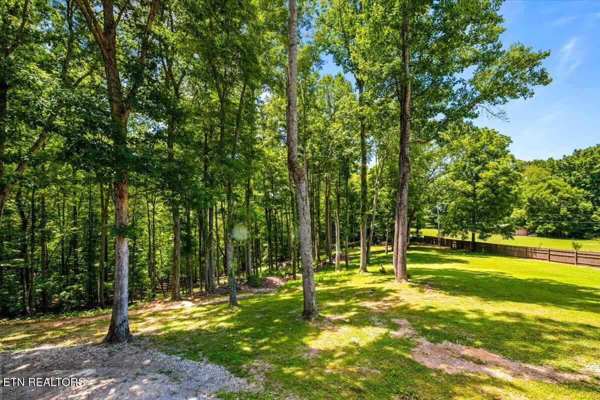 186 Indian Creek Road Jacksboro, TN 37757 - Photo 33 of 38 Back Yard