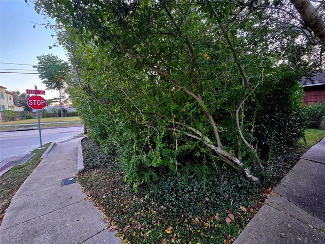 a view of street with flower on side of it