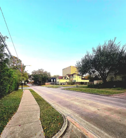 a view of a park with large trees