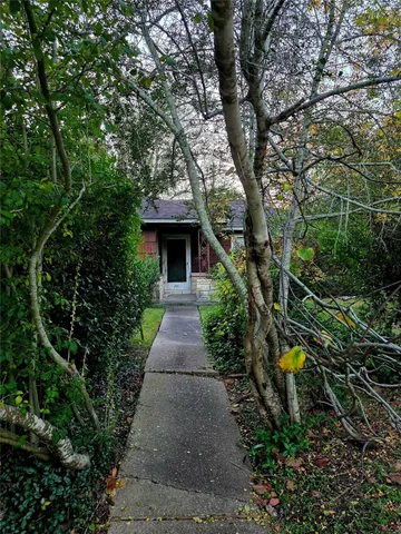 a street view with large trees