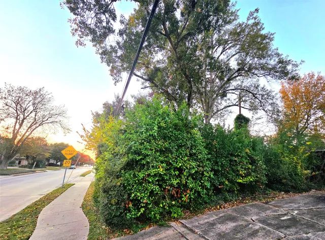 a view of a street with of trees