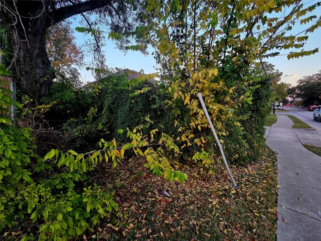 a street view with a garden