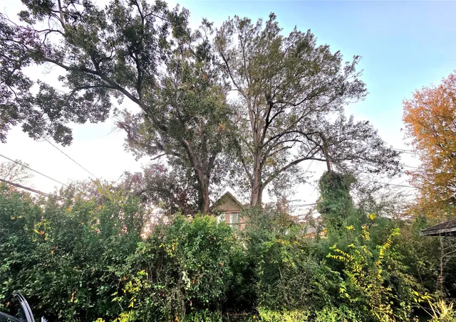 a view of a house with a swimming pool and a yard