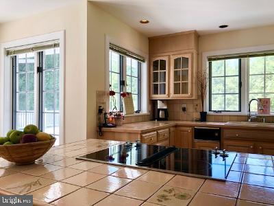 930 Sharpless Road Hockessin, DE 19707 - Photo 54 of 70