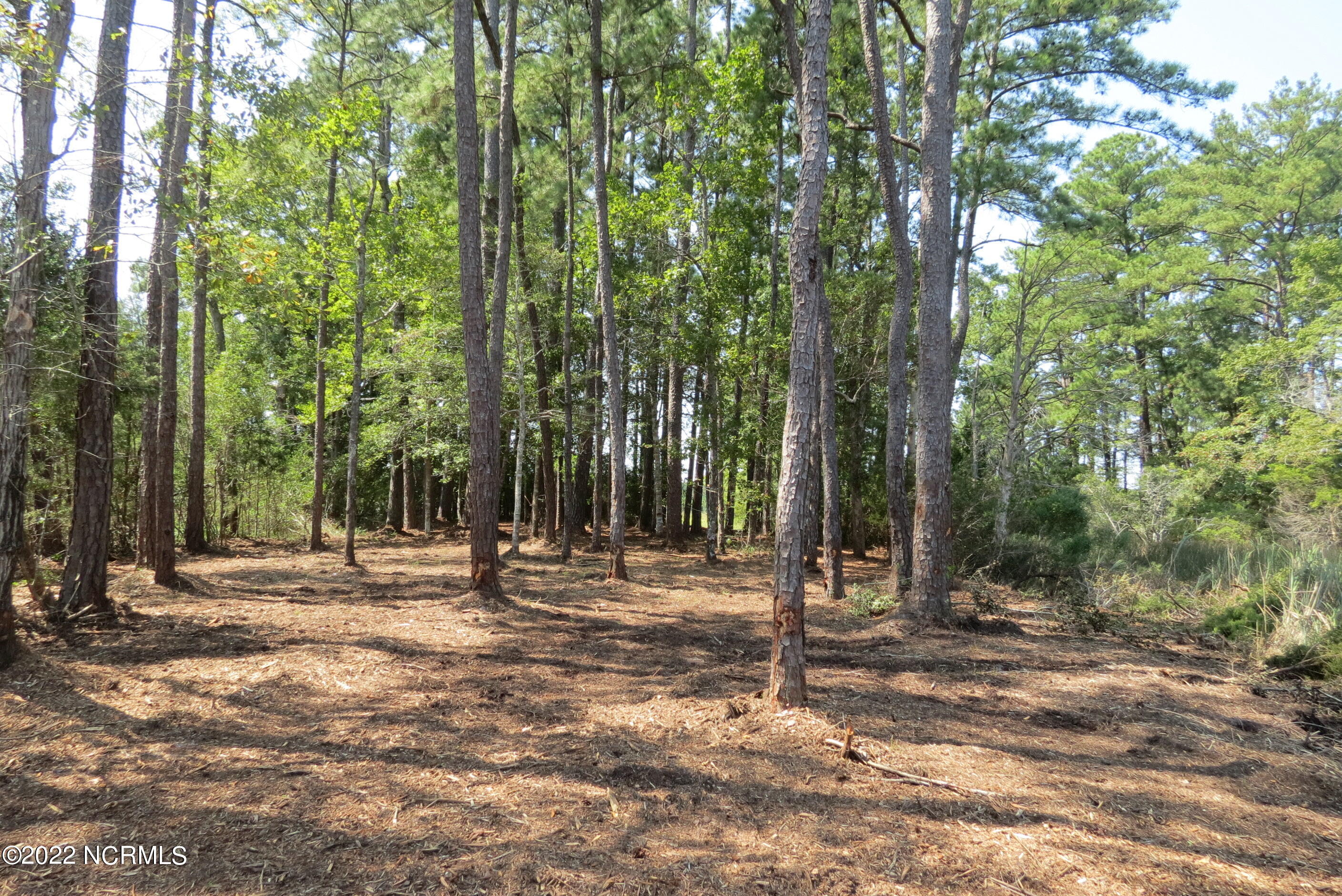 0 Quail Road Merritt, NC 28556 - Photo 36 of 44 IMG_7111