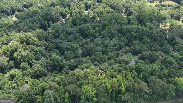an aerial view of a forest with houses