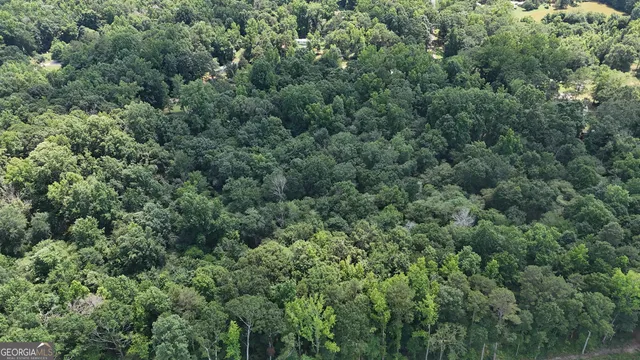 an aerial view of a forest with houses