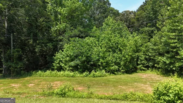 a view of a yard with a tree