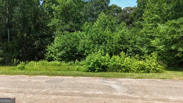 a view of a yard with plants and trees