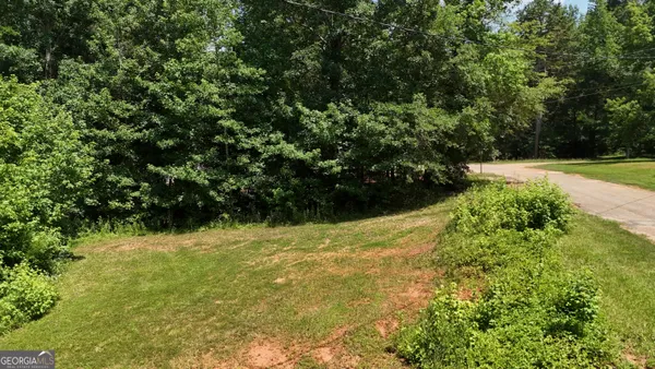 a view of a yard with plants