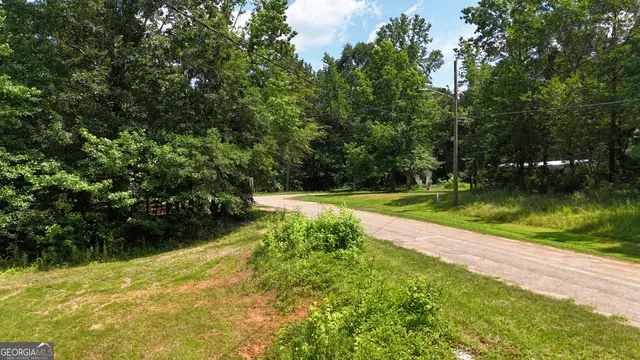 a view of a yard with a large trees