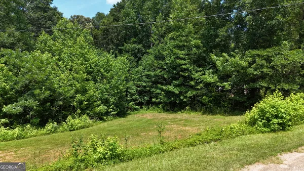 a view of an outdoor space and a yard