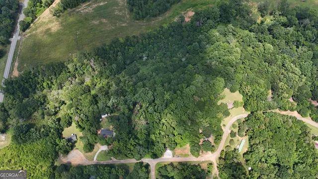 a view of a garden with plants