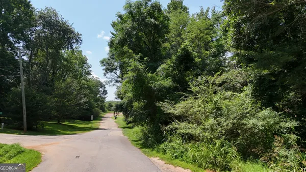 a view of a road with plants and a small yard