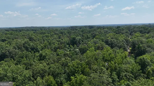 an aerial view of a city and trees