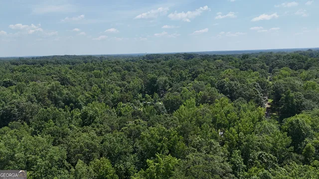 an aerial view of a city and trees