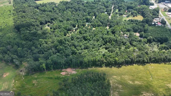 a view of a lush green forest with a lake and trees