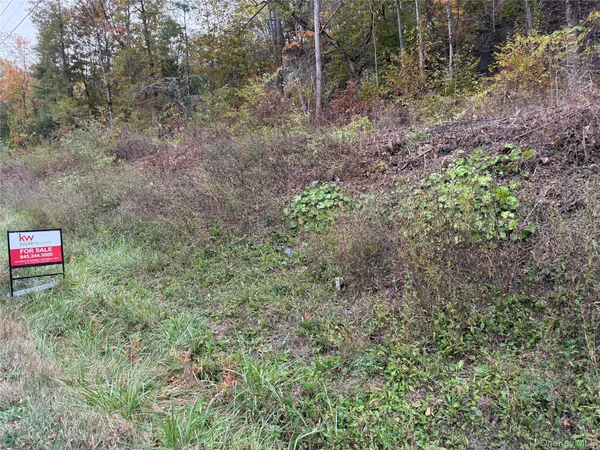 a view of a yard with lots of green space