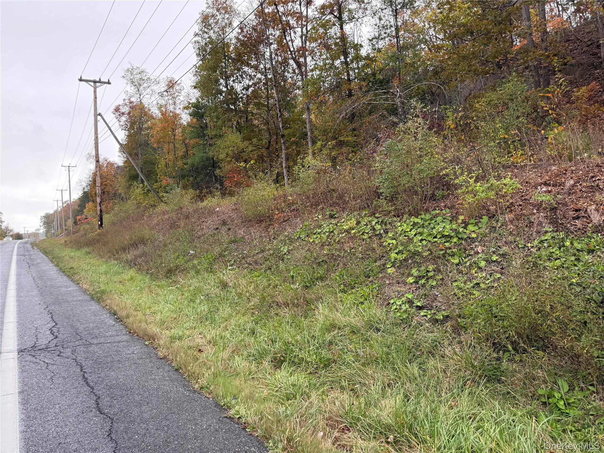2679 Rte 9W Saugerties, NY 12477 - Photo 5 of 6 a view of a pathway both side of yard