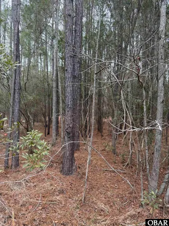 $89,000 | 12 Sessoms Drive, Scranton, NC 27875