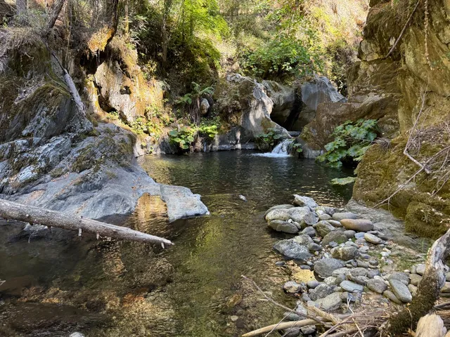 a view of a lake with trees