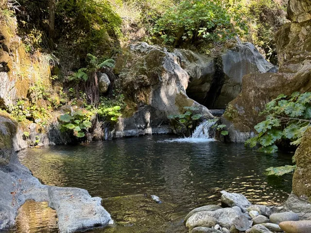 a backyard of a house with a yard with outdoor seating