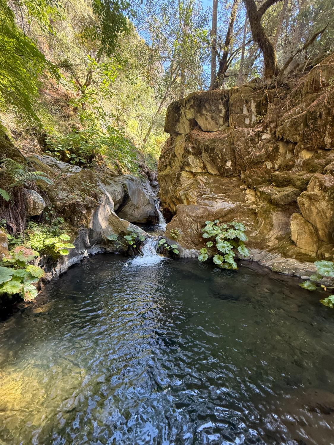 0 Blue Canyon Road Alta, CA 95701 - Photo 8 of 10 a backyard of a house with a yard with outdoor seating